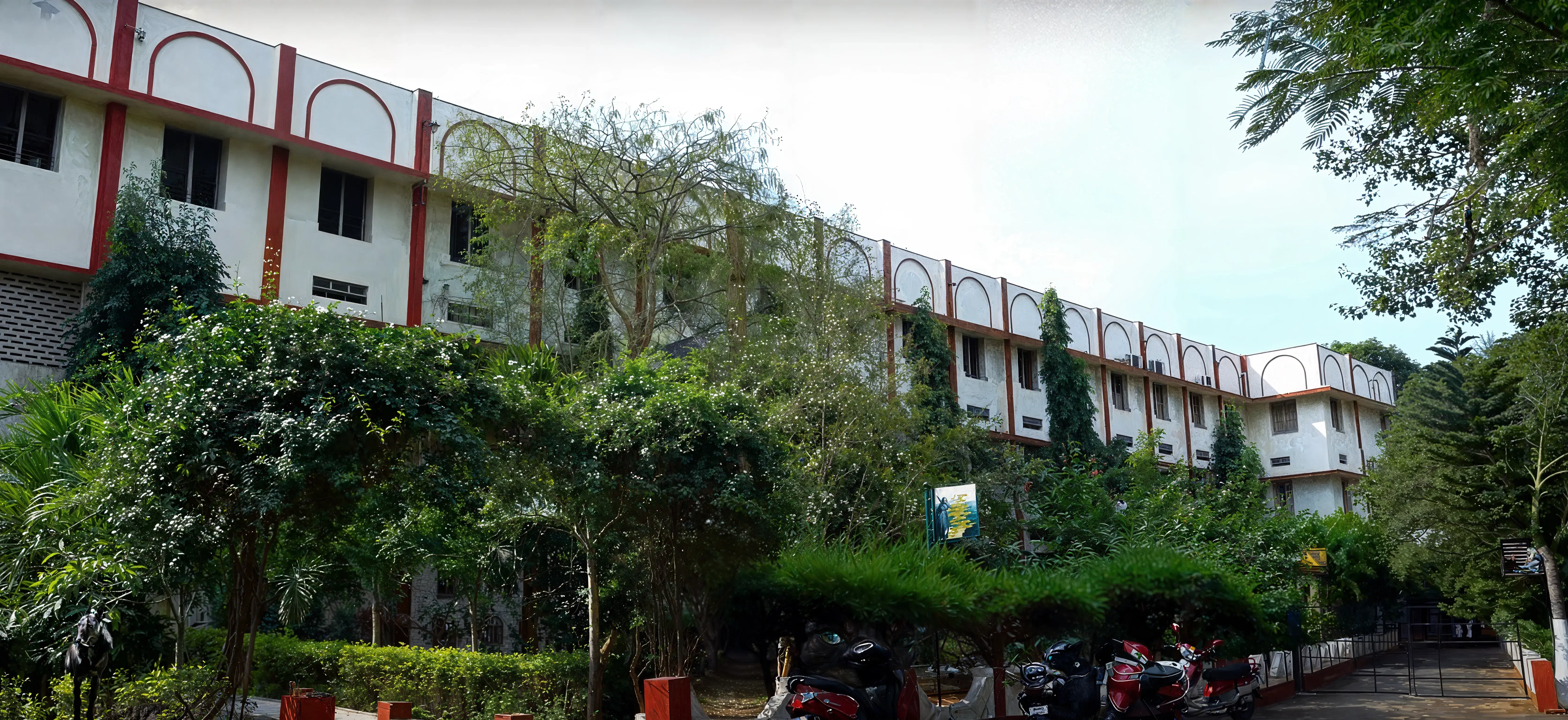 ST Ann's Campus photo 6